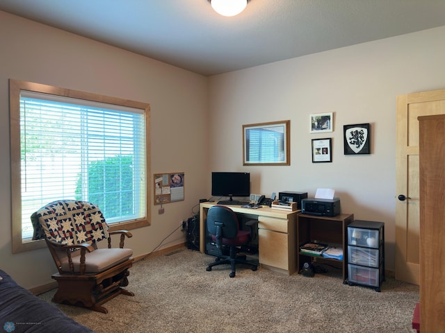 3352 24th St S, Moorhead, MN 56560 - photo 19