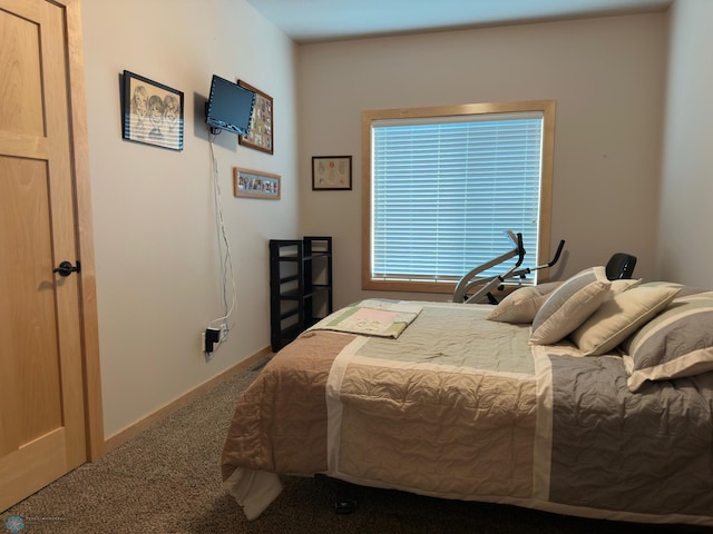 3352 24th St S, Moorhead, MN 56560 - photo 20