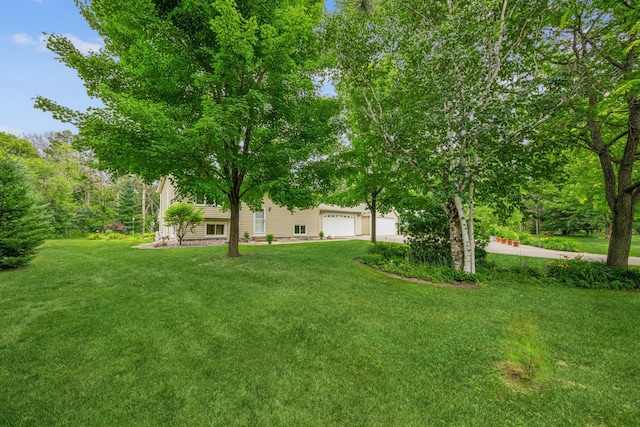 487 Lois Ln, Lino Lakes, MN 55014 - view of green lawn