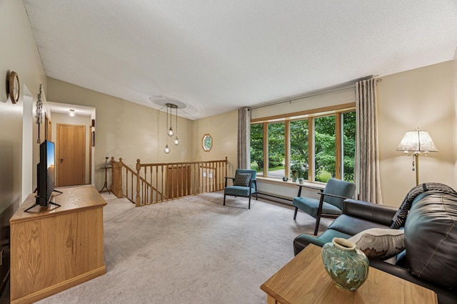 487 Lois Ln, Lino Lakes, MN 55014 - living room with carpet floors and a textured ceiling