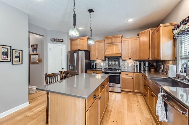 7382 159th Ave NW, Ramsey, MN 55303 - photo 9