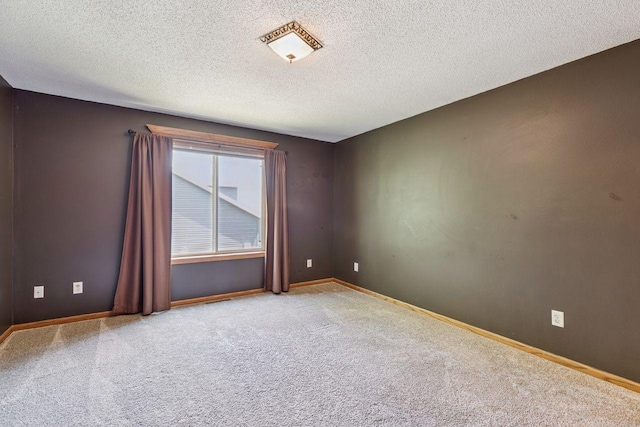 117 10th St S, Sartell, MN 56377 - photo 12