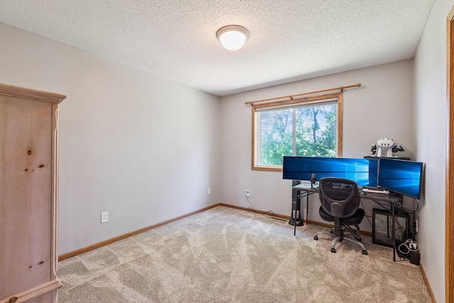 117 10th St S, Sartell, MN 56377 - photo 14