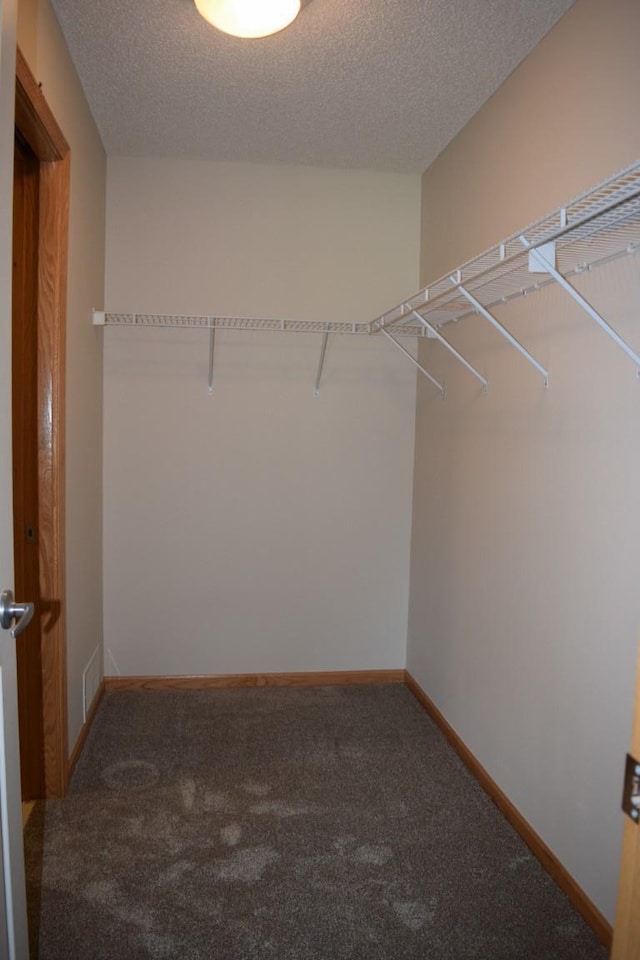 5760 Village Trl, Mound, MN 55364 - photo 22