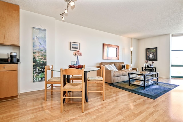 401 1st St Unit 1312, Minneapolis, MN 55401 - living room featuring a textured ceiling and light wood-type flooring