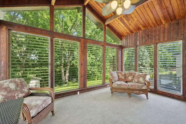 6240 Decatur Ave N, Brooklyn Park, MN 55428 - sunroom featuring ceiling fan, carpet, wood walls, and wooden ceiling