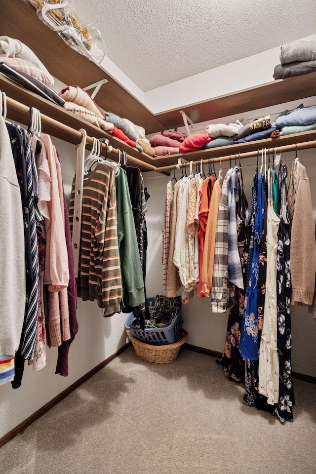 6240 Decatur Ave N, Brooklyn Park, MN 55428 - spacious closet featuring carpet