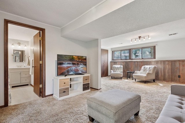 6240 Decatur Ave N, Brooklyn Park, MN 55428 - living room with a textured ceiling, light carpet, and wooden walls
