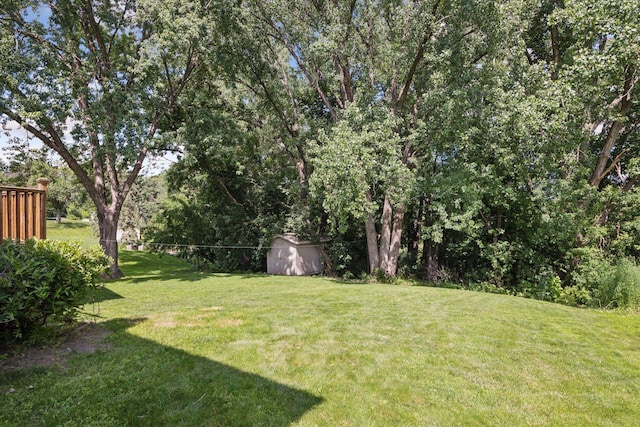 6240 Decatur Ave N, Brooklyn Park, MN 55428 - view of grassy yard with a storage shed