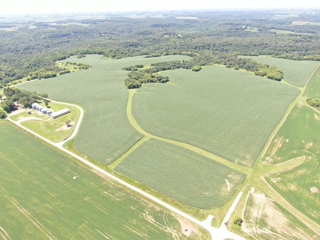 TBD 70th St SE, Orion Twp, MN 55934 - photo 1