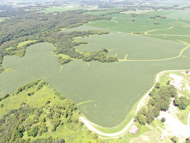 TBD 70th St SE, Orion Twp, MN 55934 - photo 2