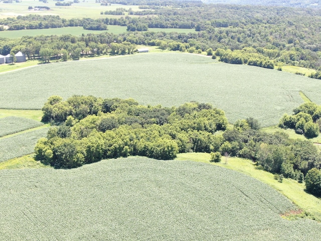 TBD 70th St SE, Orion Twp, MN 55934 - photo 10