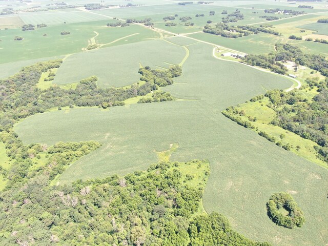 TBD 70th St SE, Orion Twp, MN 55934 - photo 11