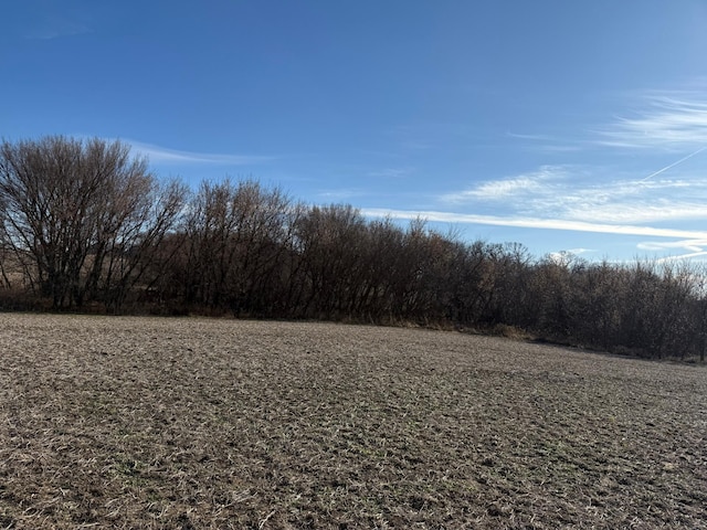 TBD 70th St SE, Orion Twp, MN 55934 - photo 12