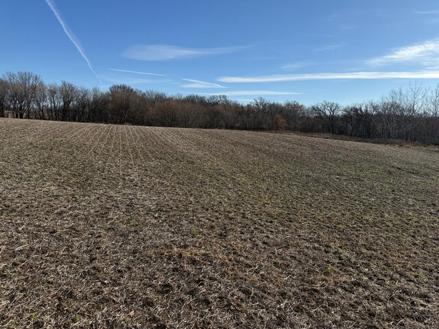 TBD 70th St SE, Orion Twp, MN 55934 - photo 14