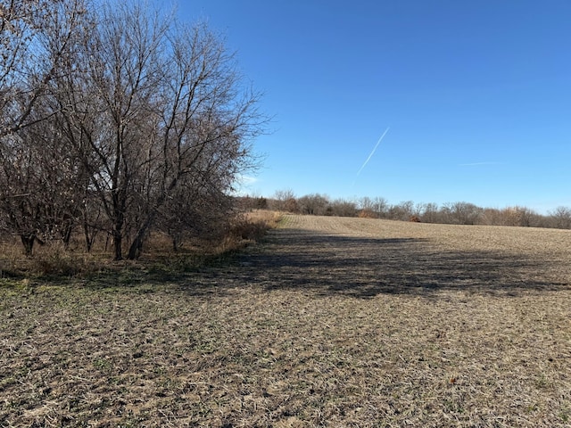 TBD 70th St SE, Orion Twp, MN 55934 - photo 15