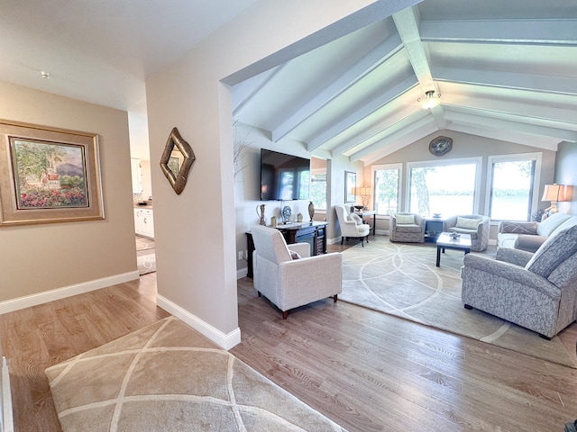 41787 Fawn Oaks Rd, Dent, MN 56528 - photo 4