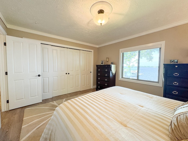 41787 Fawn Oaks Rd, Dent, MN 56528 - photo 13