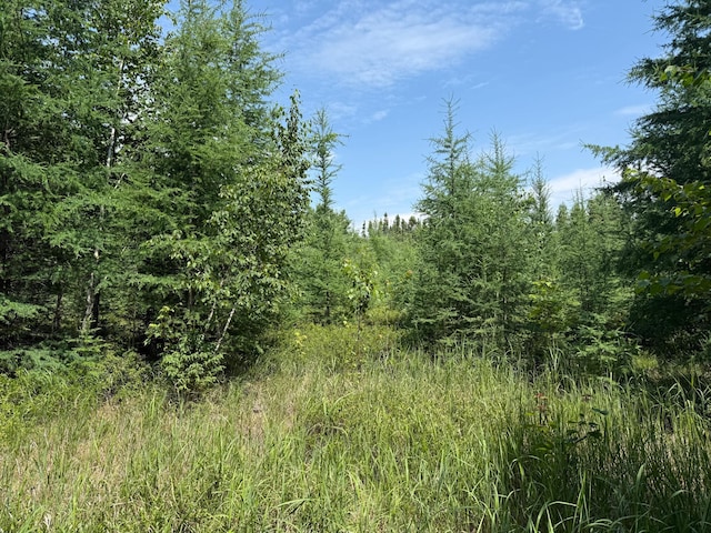 TBD Arkola Rd, Cotton, MN 55724
