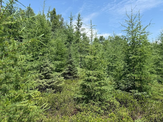 TBD Arkola Rd, Cotton, MN 55724