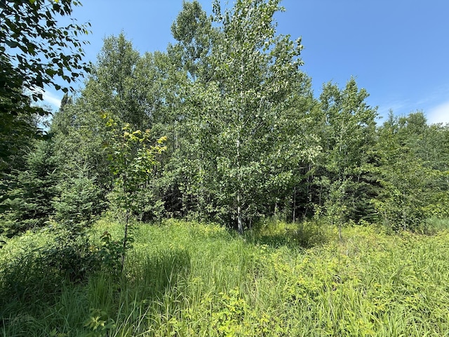 TBD Arkola Rd, Cotton, MN 55724