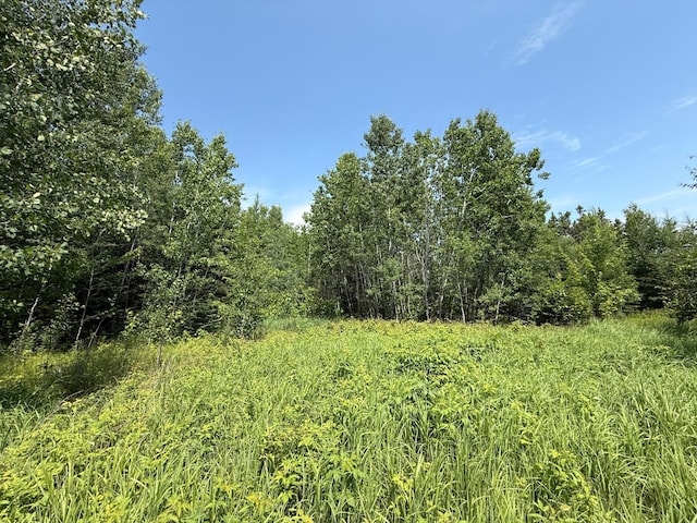TBD Arkola Rd, Cotton, MN 55724