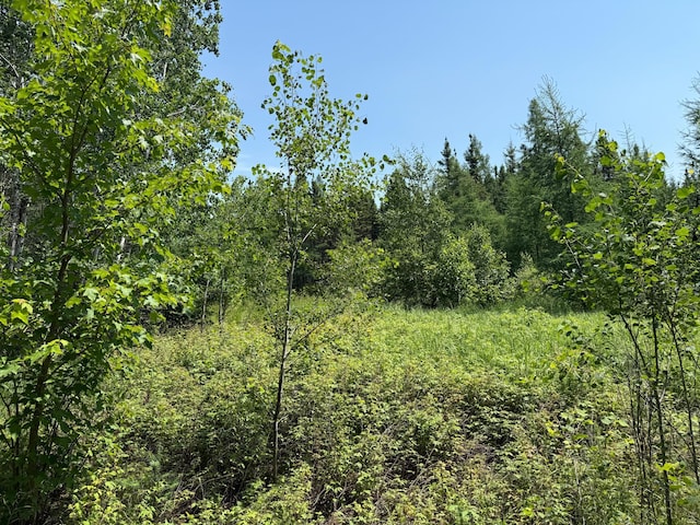 TBD Arkola Rd, Cotton, MN 55724