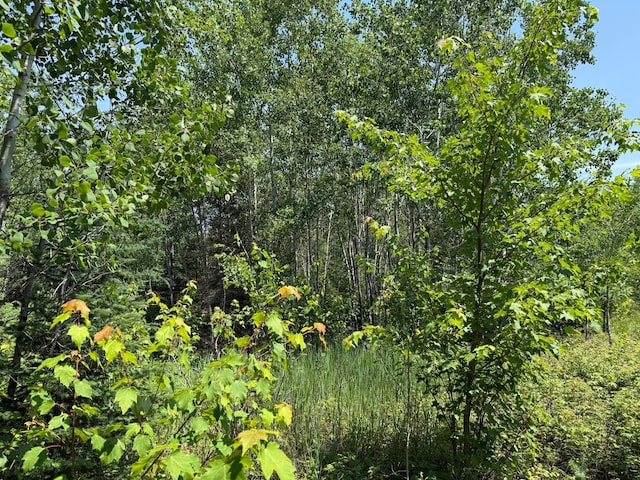 TBD Arkola Rd, Cotton, MN 55724