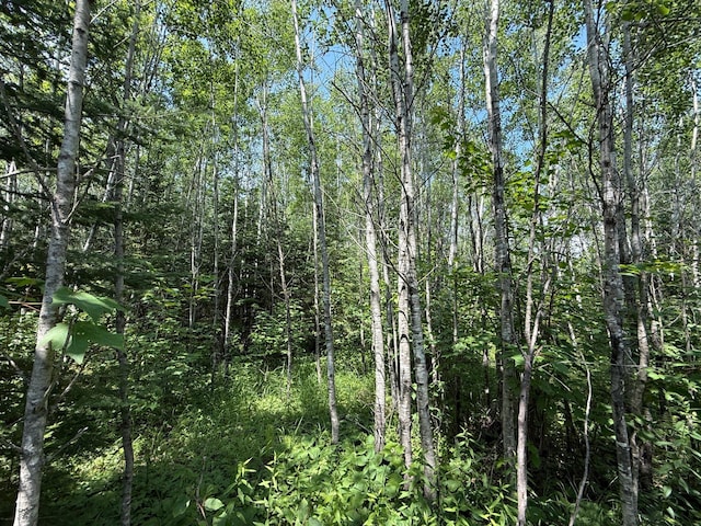 TBD Arkola Rd, Cotton, MN 55724