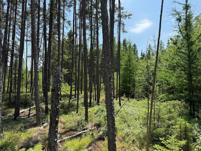 TBD Arkola Rd, Cotton, MN 55724