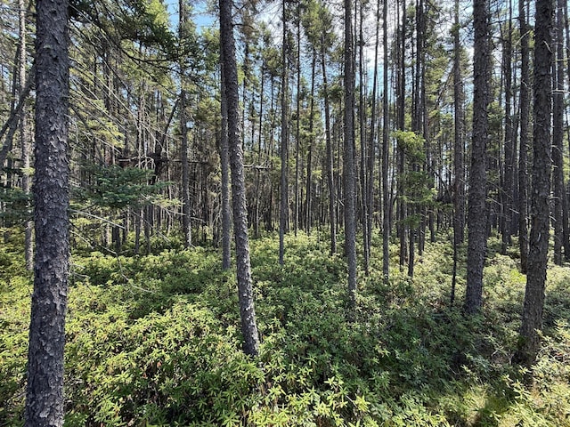TBD Arkola Rd, Cotton, MN 55724