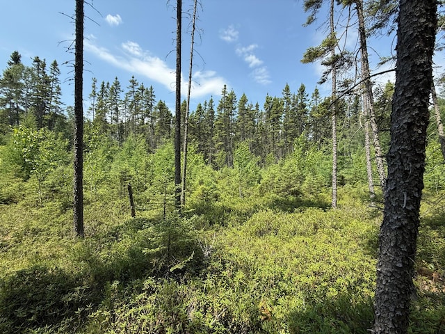 TBD Arkola Rd, Cotton, MN 55724