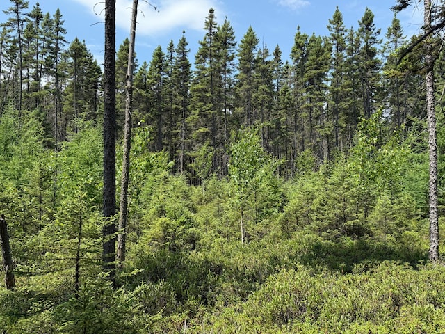 TBD Arkola Rd, Cotton, MN 55724