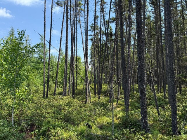 TBD Arkola Rd, Cotton, MN 55724