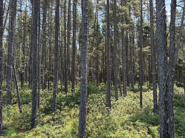 TBD Arkola Rd, Cotton, MN 55724