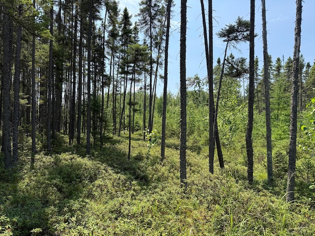 TBD Arkola Rd, Cotton, MN 55724