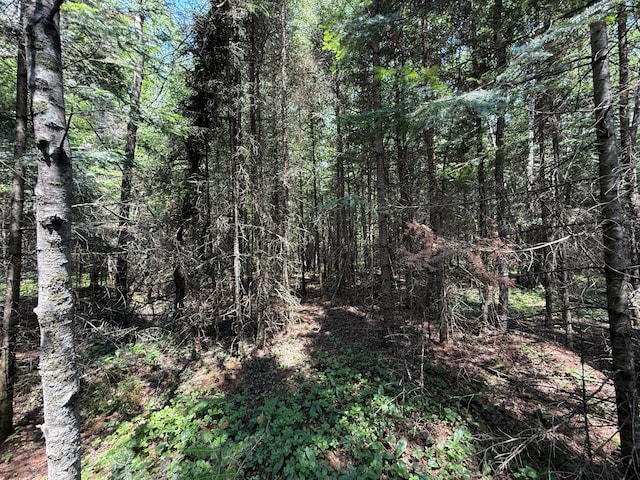 TBD Arkola Rd, Cotton, MN 55724