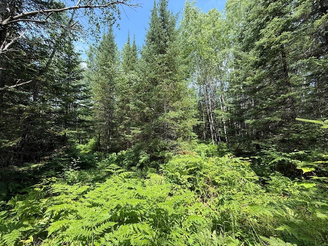 TBD Arkola Rd, Cotton, MN 55724