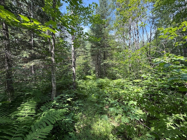 TBD Arkola Rd, Cotton, MN 55724