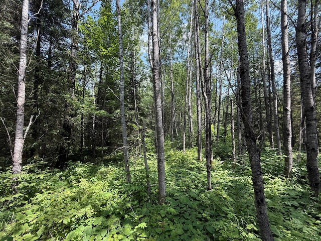 TBD Arkola Rd, Cotton, MN 55724