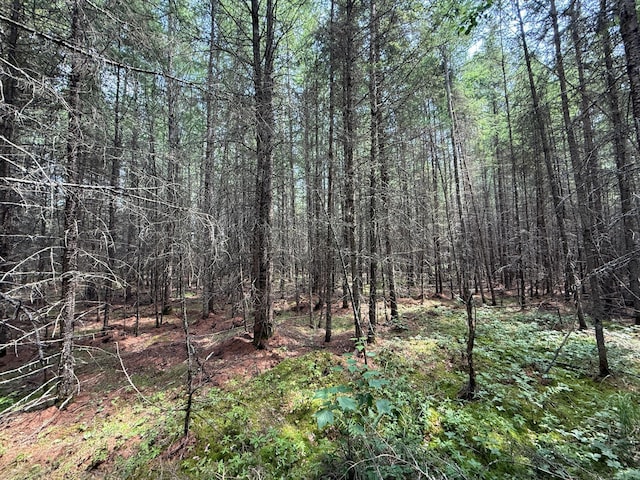 TBD Arkola Rd, Cotton, MN 55724