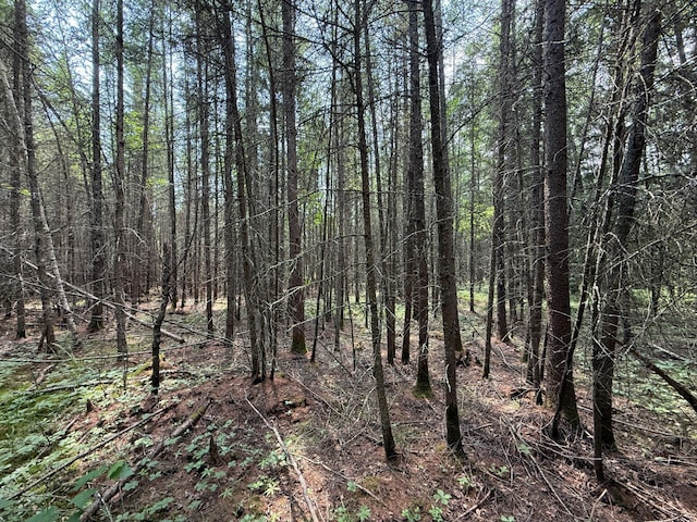 TBD Arkola Rd, Cotton, MN 55724