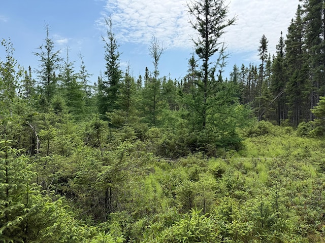 TBD Arkola Rd, Cotton, MN 55724