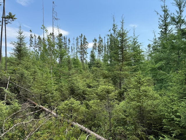 TBD Arkola Rd, Cotton, MN 55724