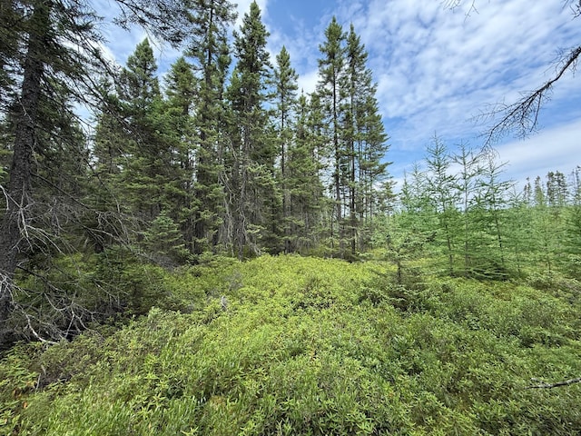 TBD Arkola Rd, Cotton, MN 55724