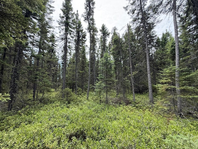 TBD Arkola Rd, Cotton, MN 55724