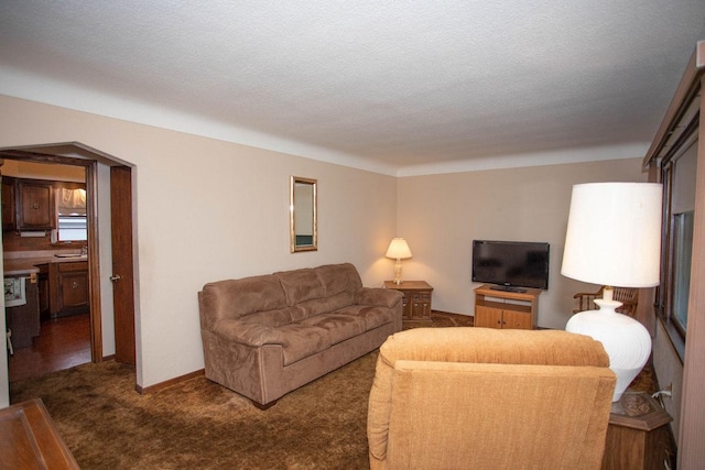 1705 California Ave E, Saint Paul, MN 55106 - carpeted living area featuring a sink and a textured ceiling