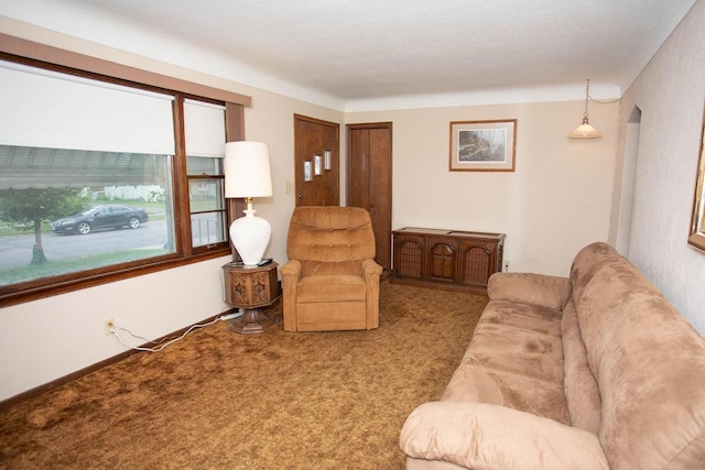 1705 California Ave E, Saint Paul, MN 55106 - living room featuring carpet flooring