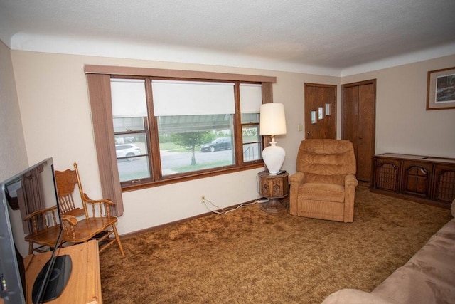 1705 California Ave E, Saint Paul, MN 55106 - view of carpeted living room