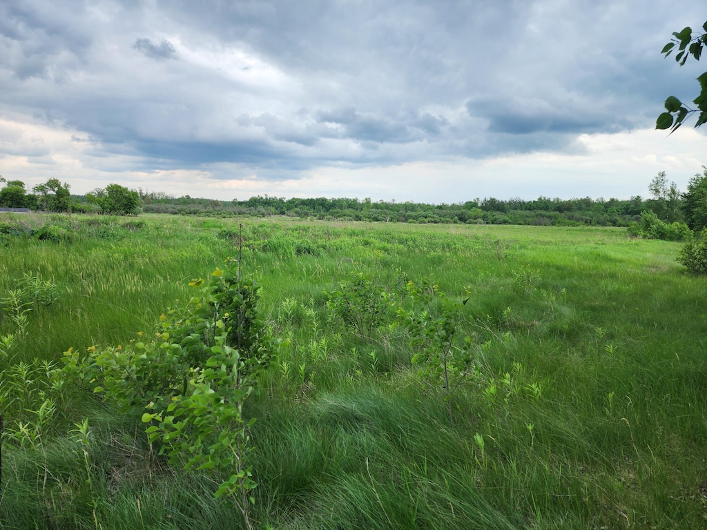 TBD Rice Rd, Mission Creek Twp, MN 55037 - photo 2